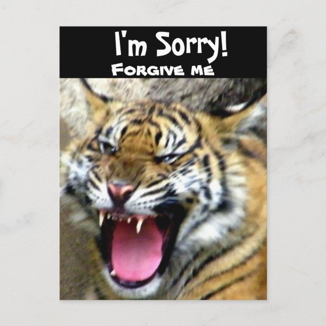 Hey_ Postcard (Front)