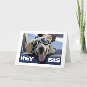 HEY ***SIS*** HAVE A COOL BIRTHDAY FROM COOL DOG CARD