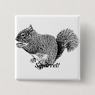 Hey Squirrel 2 Inch Square Button