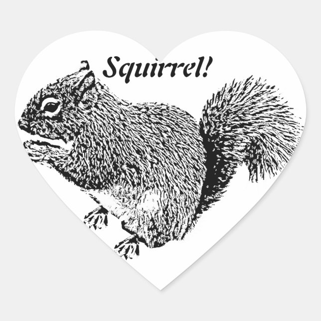 Hey Squirrel Heart Sticker (Front)