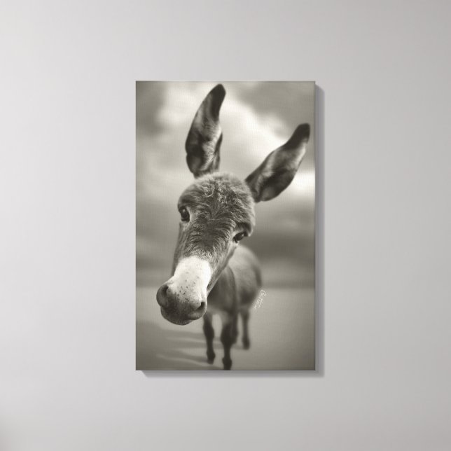 Hey There Canvas Print (Front)