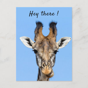 Hey there funny Giraffe photo with text Postcard