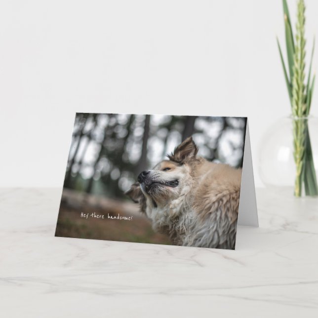 Hey there handsome card! card (Front)