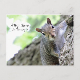 Hey There, Just Checking In Postcard 
