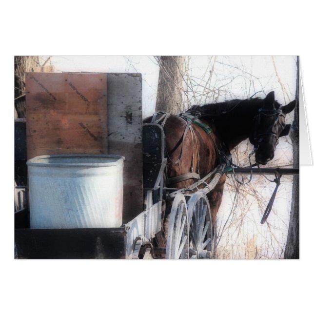 Hey There, Orton Effect, Amish Horse (Front Horizontal)