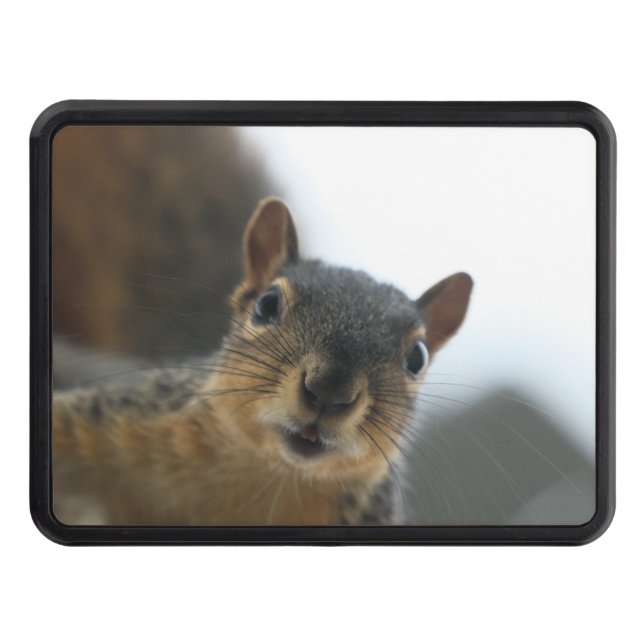 Hey there trailer hitch cover (Front)
