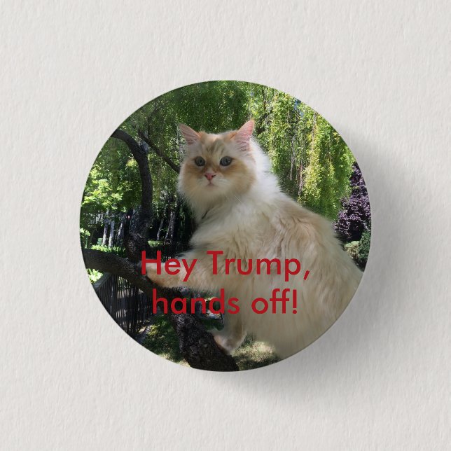 Hey Trump, hands off! 1 Inch Round Button (Front)