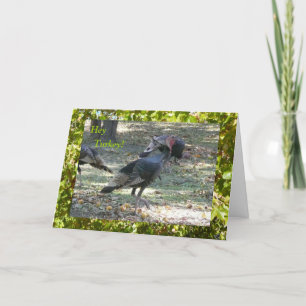 Hey Turkey! Thinking of You Card