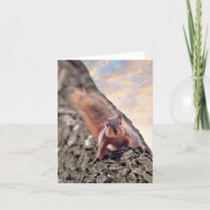 Hey, What's Up Note Card