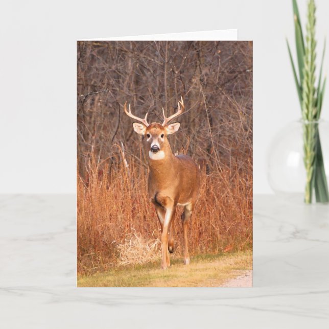 Hey - where are you going?! (Deer/Buck) Holiday Card (Front)