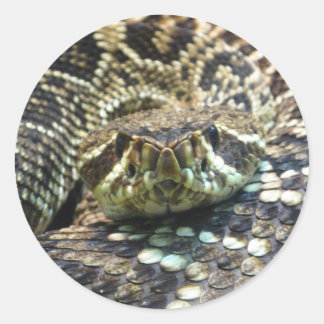 Hey Who Do You Think You'r Looking At? Classic Round Sticker