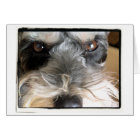 Hey You!  I Order You To Come To My Party!