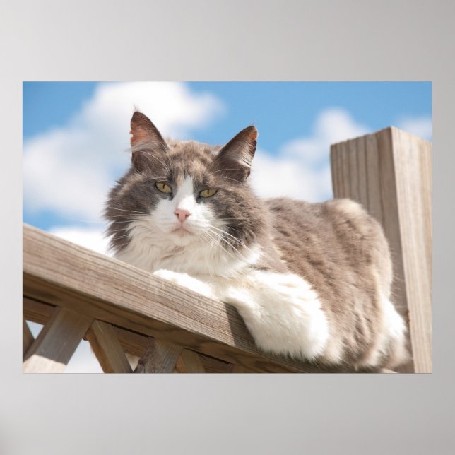 Hey You! Poster (Front)