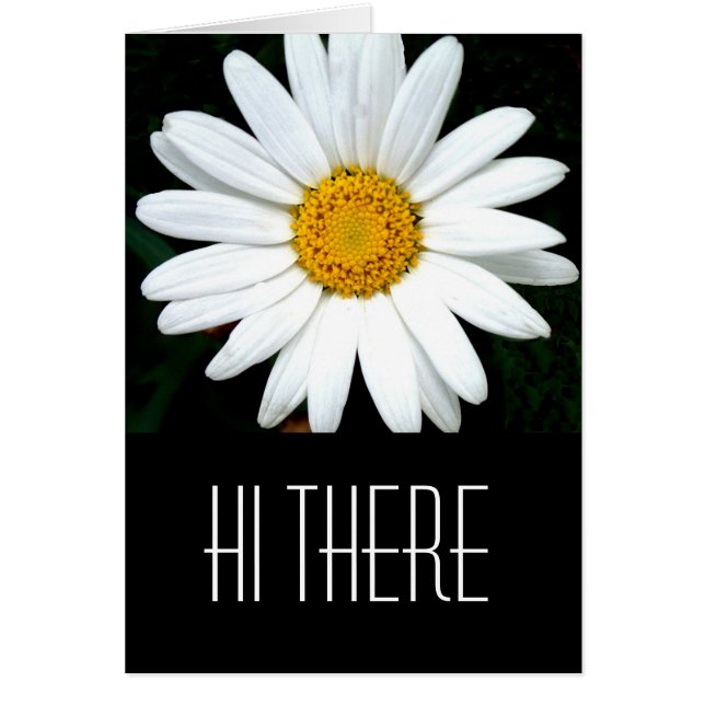Hi (Front)