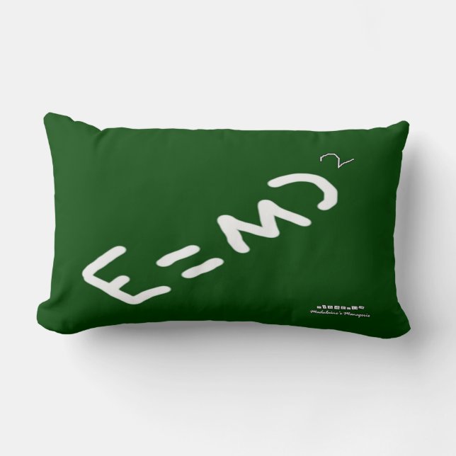HI54EDU Physics Relativity RVC Lumbar Pillow (Front)