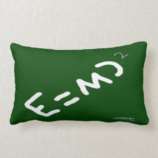 HI54EDU Physics Relativity RVC Lumbar Pillow