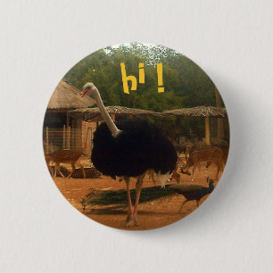 hi ! 2 inch round button