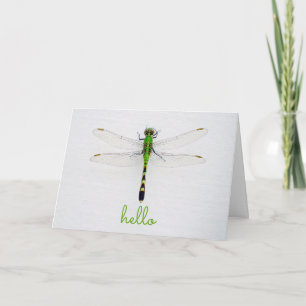 Hi and Hello with Dragonfly on Wall Outside House Card