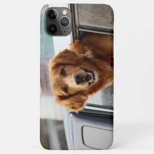Hi iPhone 11 Pro Max Case