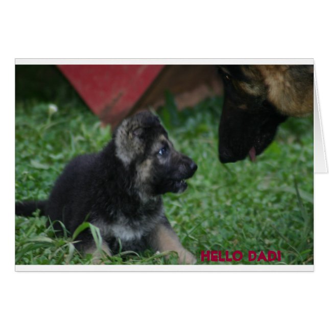 Hi DAD (Front Horizontal)