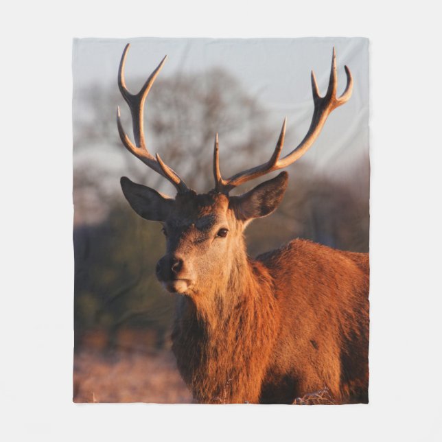 HI DEER FLEECE BLANKET (Front)