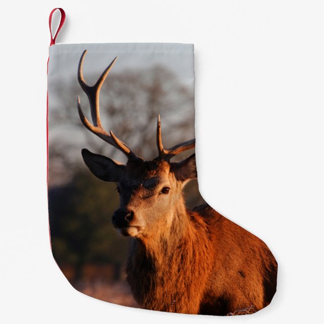 HI DEER SMALL CHRISTMAS STOCKING (Front)