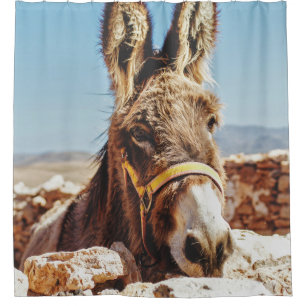 HI DONKEY