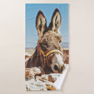HI DONKEY