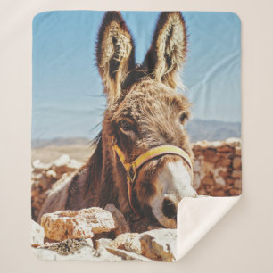 HI DONKEY SHERPA BLANKET