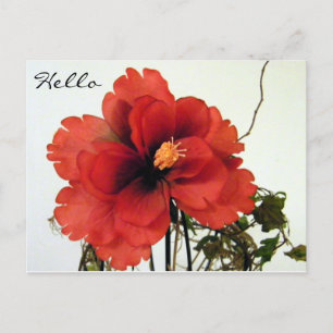 Hi,Hello/Any Occasions_ Postcard