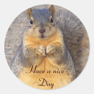 Hi, Hello_ Sticker