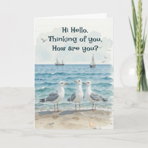 Hi Hello, Thinking of you, how are you Fun Seagull Card