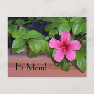 Hi Mom! Flower Postcard