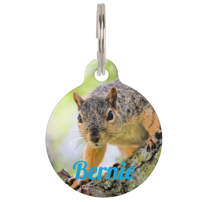Hi Pet Tag (Front)