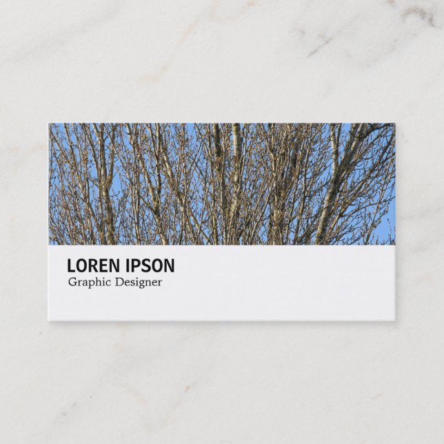 Hi-Phi - 0276 - Sunlit Branches Business Card (Front)