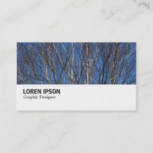 Hi-Phi - 0280 - Silver Birch Branches Business Card