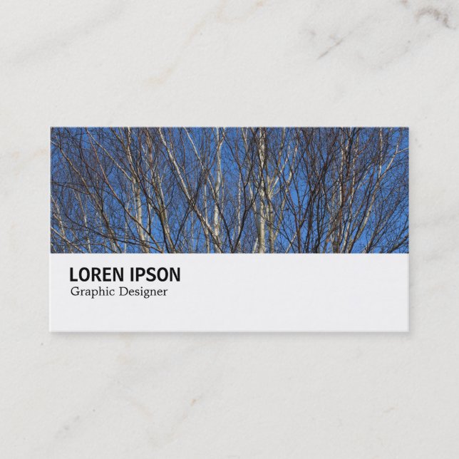 Hi-Phi - 0280 - Silver Birch Branches Business Card (Front)