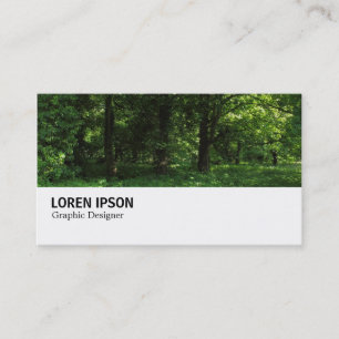 Hi-Phi - 0298 - Spring in the Woods 02 Business Card