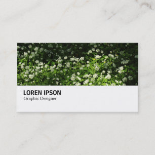 Hi-Phi - 0345 - Wild Garlic Business Card