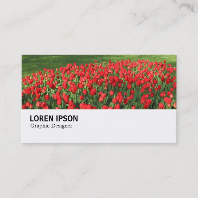 Hi-Phi - 0375 - Bed of Red Tulips 02 Business Card (Front)