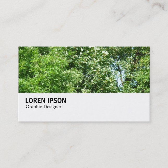 Hi-Phi - 080 - Summer Breeze Business Card (Front)