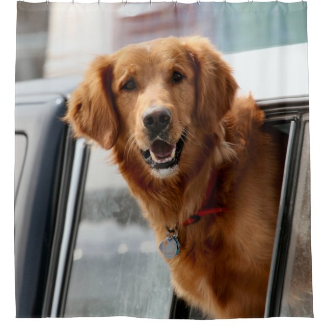 Hi Shower Curtain (Front)