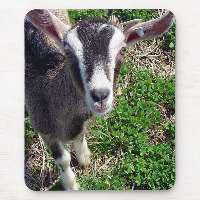 Hi There Goat Mouse Pad (Front)