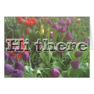 Hi there Spring
