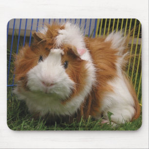 Hi there! (The Mousepad) Mouse Pad