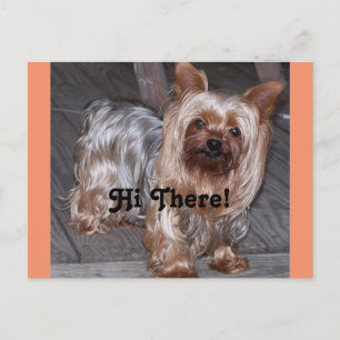 Hi There Yorkshire Terrier Postcard