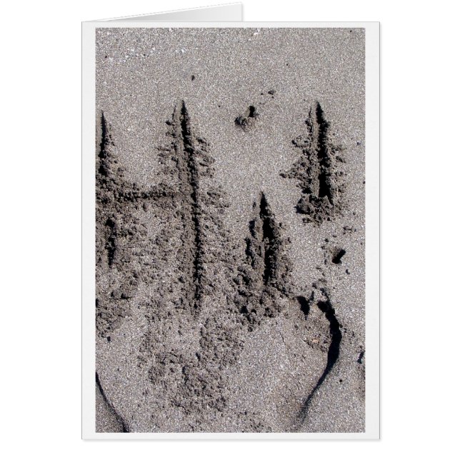 Hi! Written in Florida beach sand with footprints (Front)