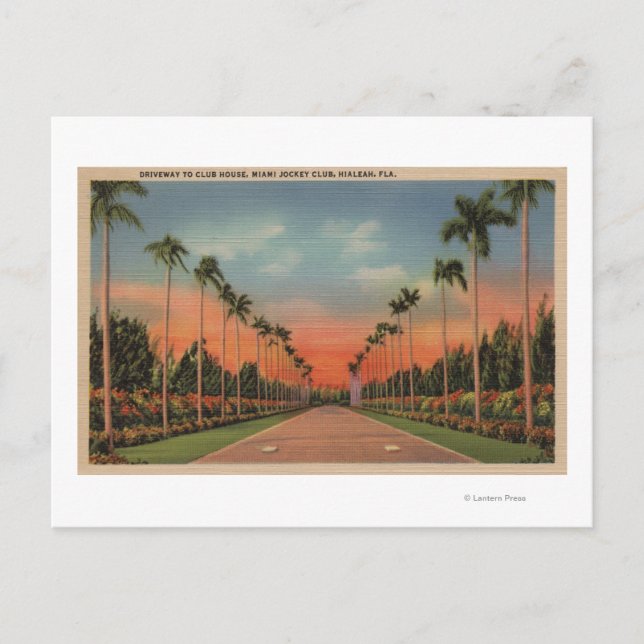 Hialeah, Florida - Miami Jockey Club Driveway Postcard (Front)