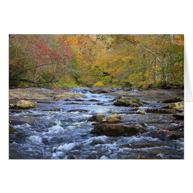 Hiawassee River in Autumn (Front Horizontal)