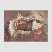 Hiawatha Native American Indian Chief Portrait